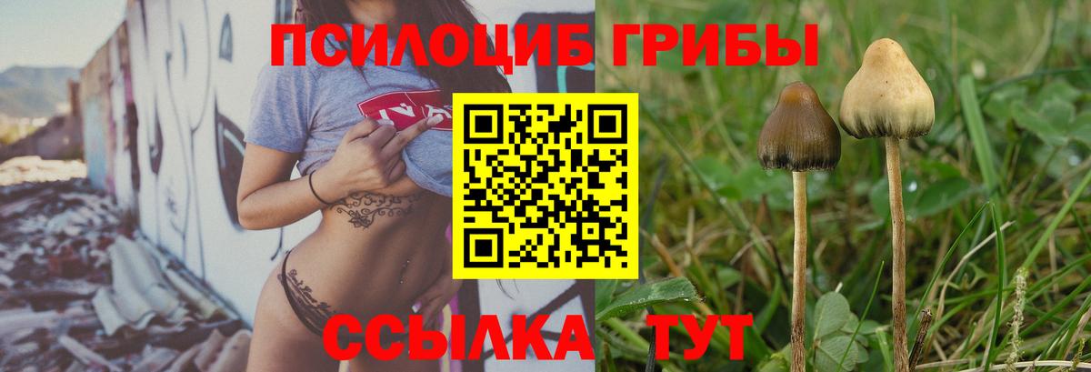 Галлюциногенные грибы мухоморы Луга
