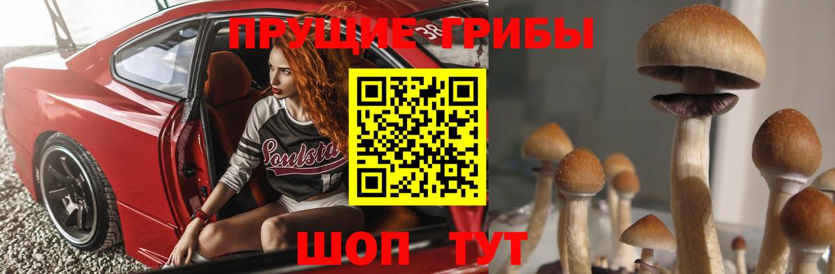 Галлюциногенные грибы MAGIC MUSHROOMS  купить наркоту  Луга  Вход с VPN 