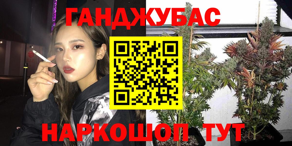 Конопля Ganja  Шишки марихуана планчик  Вход с VPN  Бошки Шишки White Widow  Луга  Канабис индика 
